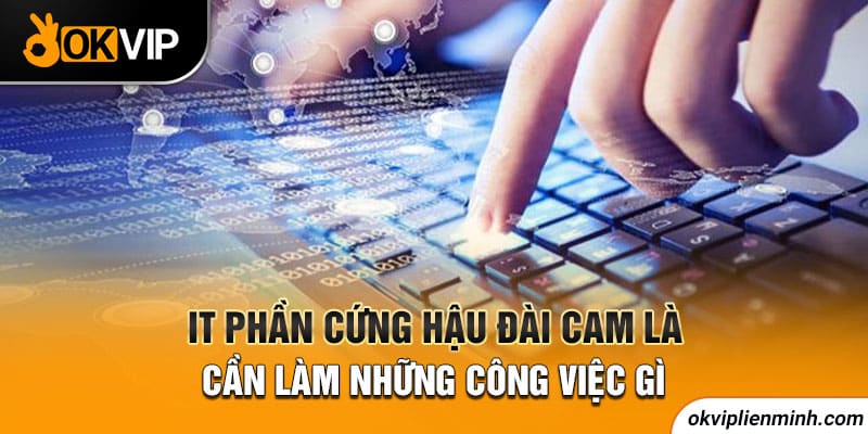 IT phần cứng hậu đài cam là cần làm những công việc gì