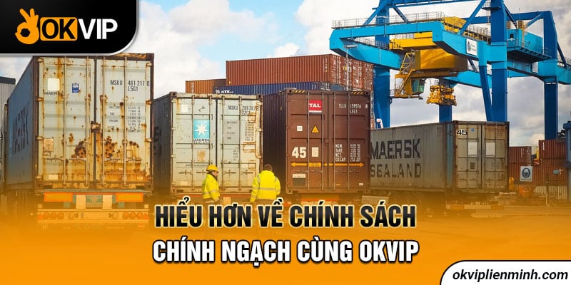 Hiểu hơn về chính sách chính ngạch cùng OKVIP