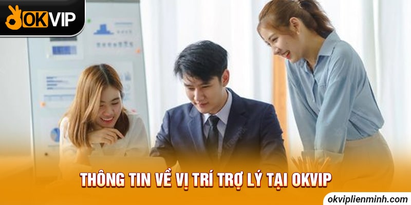 Thông tin về vị trí trợ lý tại OKVIP