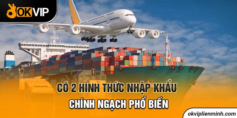 Có 2 hình thức nhập khẩu chính ngạch phổ biến