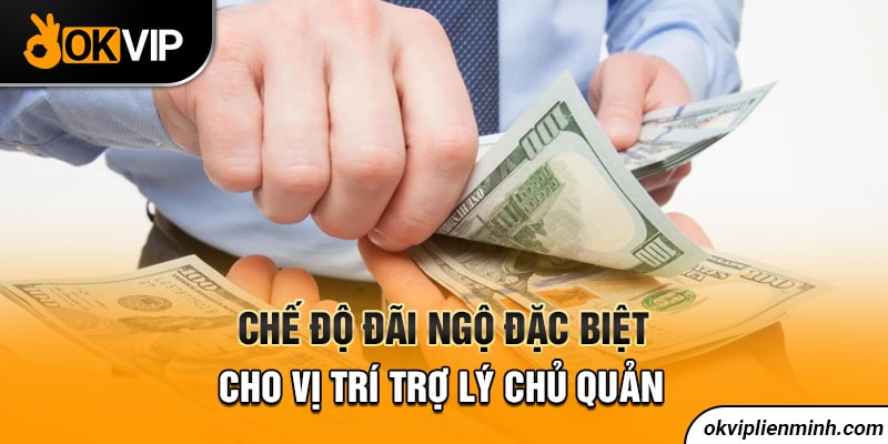 Chế độ đãi ngộ đặc biệt cho vị trí trợ lý chủ quản 