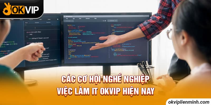 Các cơ hội nghề nghiệp việc làm IT OKVIP hiện nay