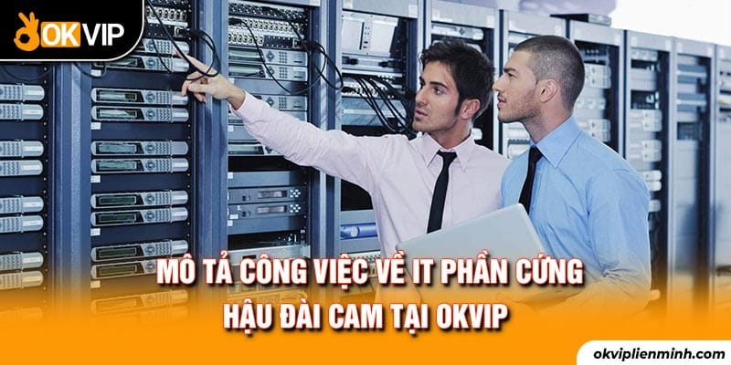 Mô tả công việc về IT phần cứng hậu đài Cam tại OKVIP
