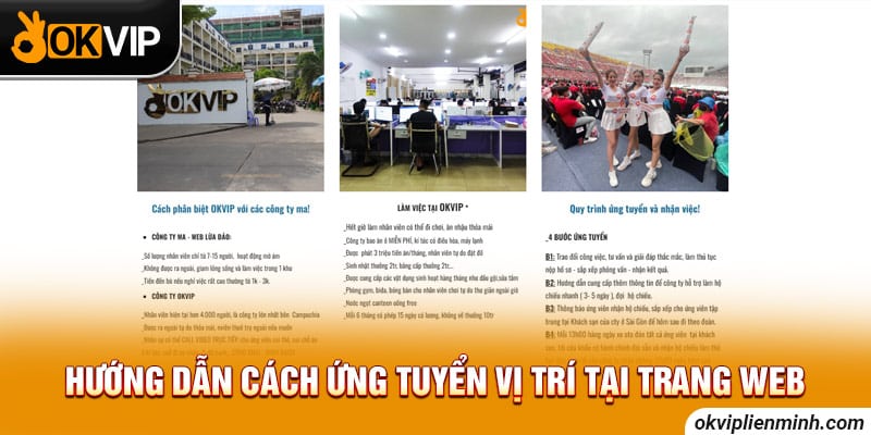 Hướng dẫn cách ứng tuyển vị trí tại trang web