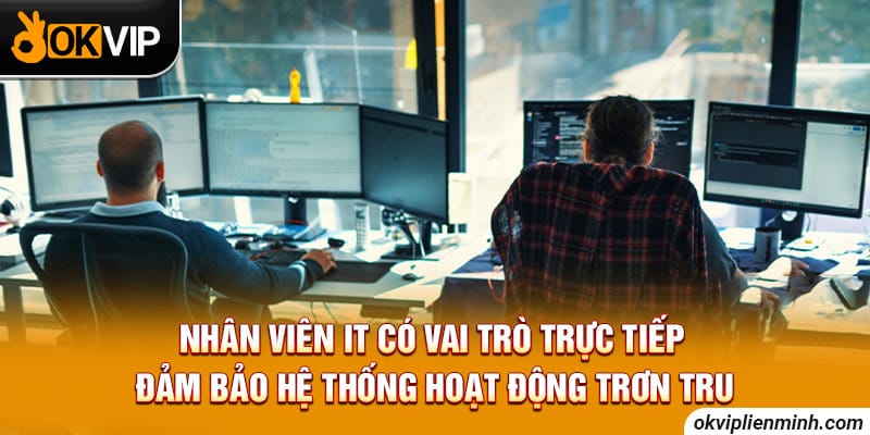 Tuyển dụng vị trí nhân viên IT để phát triển của hệ thống
