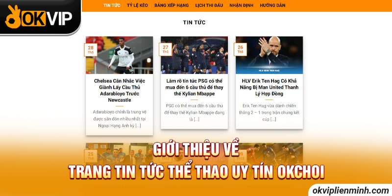 Tổng quan về website thể thao uy tín OKCHOI